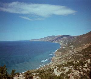 oran 033